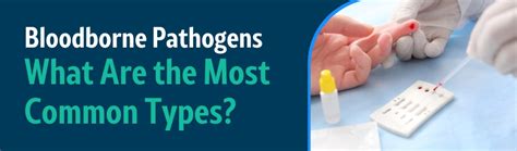 What Are The Most Common Bloodborne Pathogens Hipaa Exams