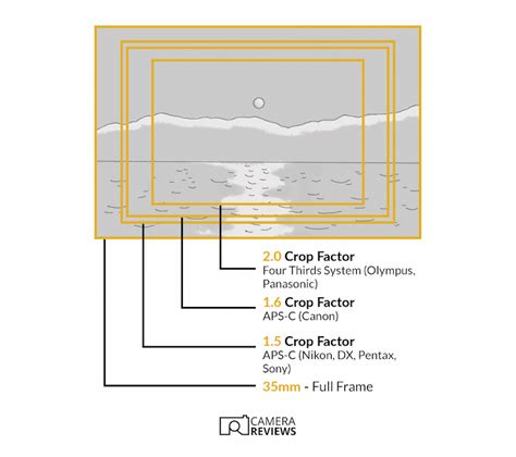 14 Types of Camera Lenses (Important Basics for Beginners!)