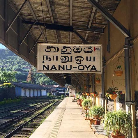 Lo Mejor De Sri Lanka Tren Nuwara Eliya A Ella Magazinespain