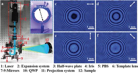 Largescale Sagnac Interferometric Optical System For Photoalignment