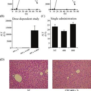 Time And Dose Dependent Changes In Plasma ALT And AST Levels In