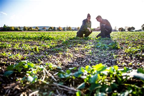 Ecological Farmers Association Celebrates Years Farmtario