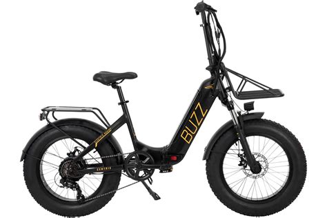 Buzz E-Bikes Review: Affordable Utility E-Bikes and E-Trikes