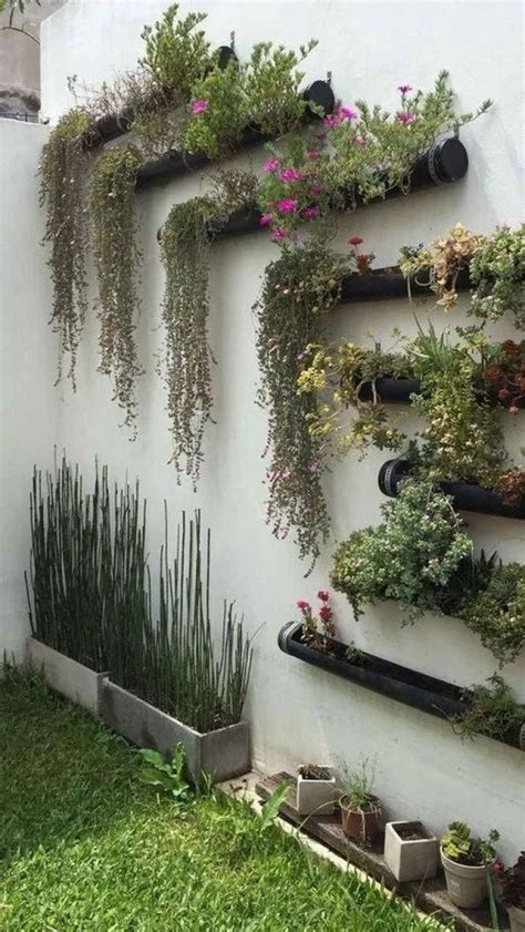 What To Grow In My Vertical Garden