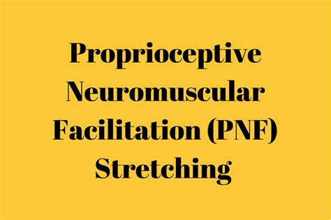 Proprioceptive Neuromuscular Facilitation Pnf Stretching Physio