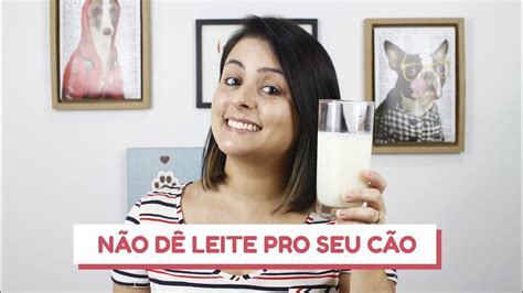 Entenda Porque O Leite De Vaca NÃo é Recomendado Para Os Cães Youtube