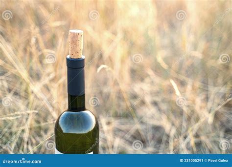 Open Fles Rode Wijn Met Leeg Etiket En Natuurlijke Kurk Buiten Stock