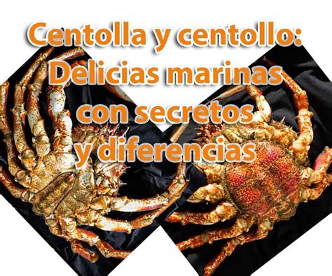 Centolla Y Centollo Delicias Marinas Con Secretos Y Diferencias