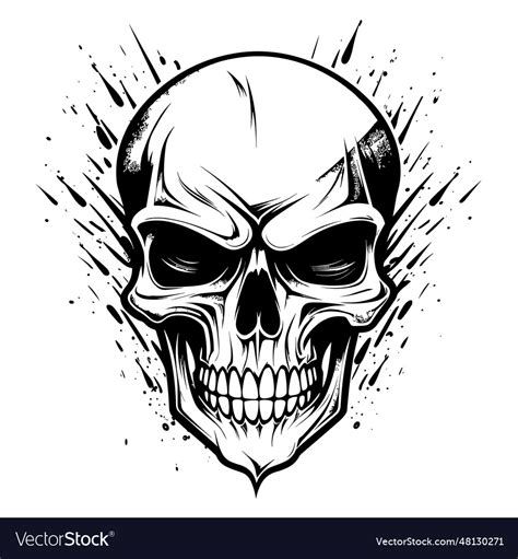 Skull silhouette Royalty Free Vector Image - VectorStock