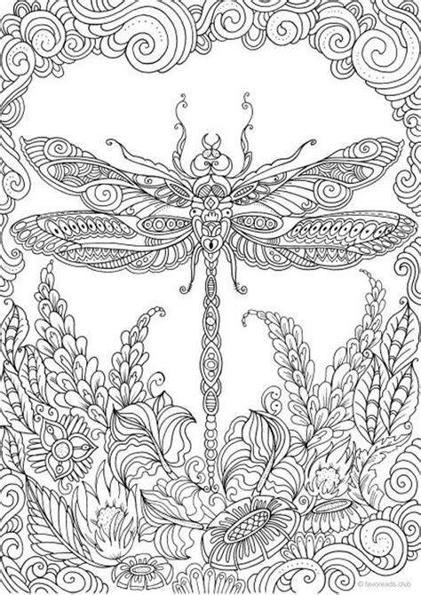 Adult Coloring Pages Dragonfly Ferrisquinlanjamal