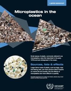 Assessing microplastics in the world's oceans | Puget Sound Institute