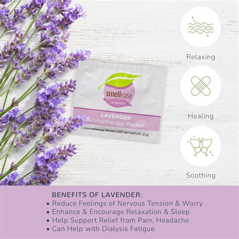 Lavender Aromatherapy Packet 25 Count Box – Plant Therapy