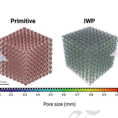 L Pbf Tpms Ti 6al 4v Scaffolds For Bone Tissue Reconstruction