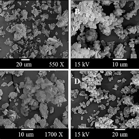 Sem Microphotographs For Crystallization Products Obtained At Several