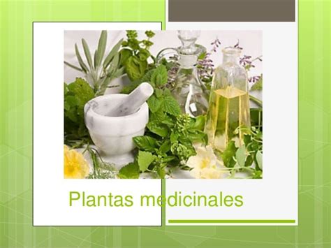 Plantas Medicinales Para Power Point