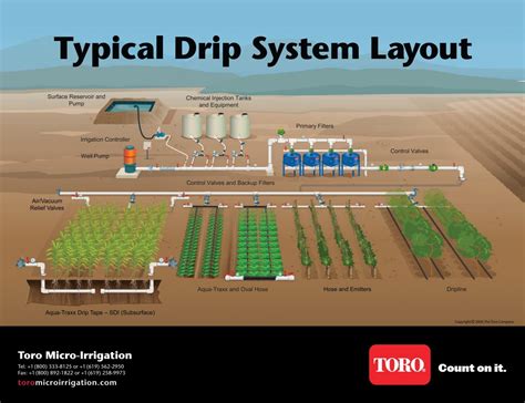 Typical Drip System Layout - Drip Irrigation