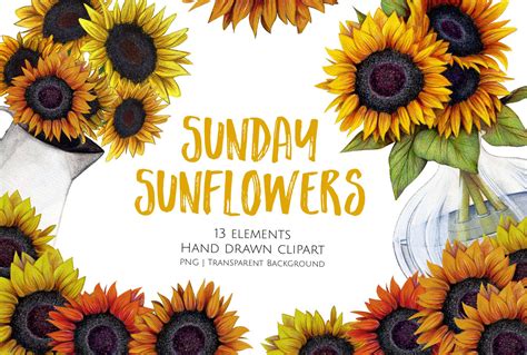 Sunday Sunflowers Clipart Set Illustrations Creative Market