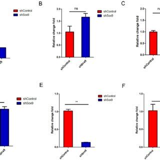 The Proliferation And Migration Abilities Of HUC MSCs Transfected With