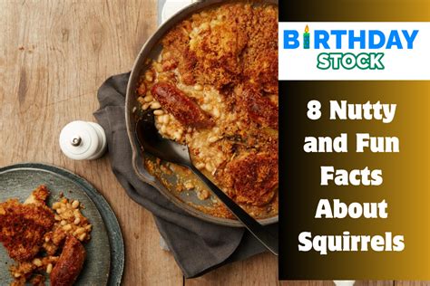 Quick And Easy Cassoulet Recipe Learn Like A Pro Birthday Stock