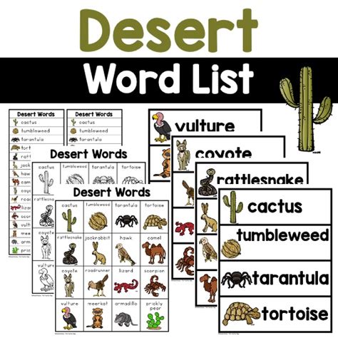 Desert Words The Teacher Bag