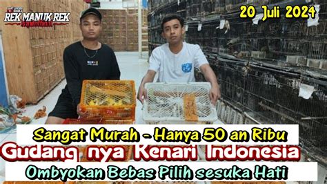 SUPER MURAH GUDANG BURUNG KENARI OMBYOKAN BAHAN DAN GACORAN 50 RIBU