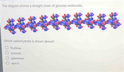 Solved: The diagram shows a straight chain of glucose molecules. Which ...