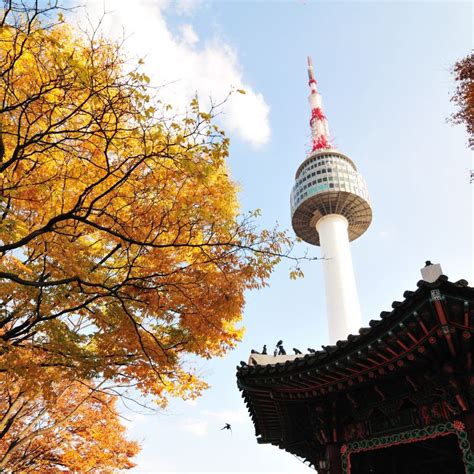 15 Top Places To See Autumn Leaves And Fall Foliage In Korea