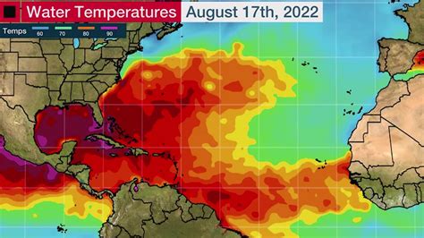 Tropical Storm Update 2024 Ellie Hesther