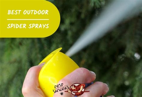 Outdoor Spider Control 7 Best Outdoor Spider Sprays Review Pest Samurai