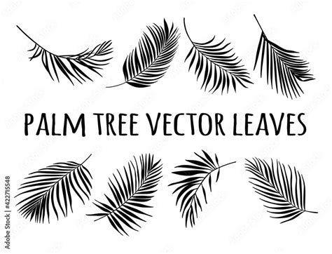 Black Palm Tree Leaves Silhouette Vector Drawing.Tropical leaf stencil ...