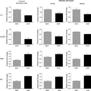 Real Time RT PCR Validation Of Microarray Data Downregulation Of