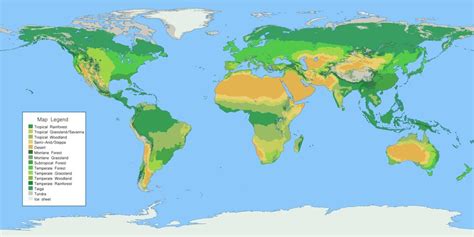 map  world biomes  world maps
