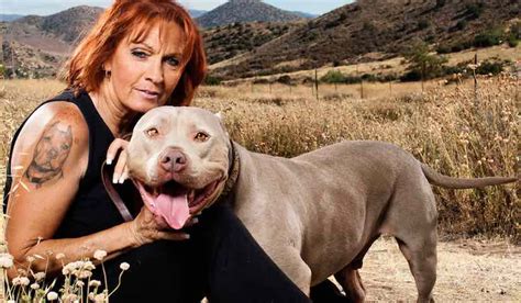 Pit Bulls and Parolees - Watch Tia Torres save pitbulls. Pitbull dog tv show