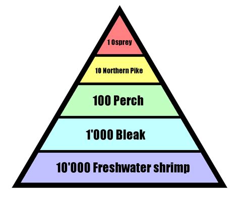 File:Pyramid of numbers.png - Wikipedia