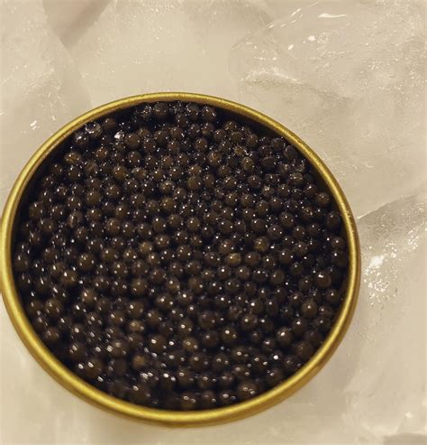 Beluga Sturgeon Caviar | Pacific Wild Pick