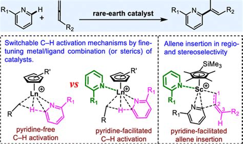 Substrate Facilitating Roles In Rare Earth Catalyzed Ch Alkenylation