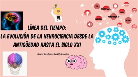 Línea Del Tiempo De La Evolución De La Neurociencia Hasta El Siglo Xxi By Naomy Castillo