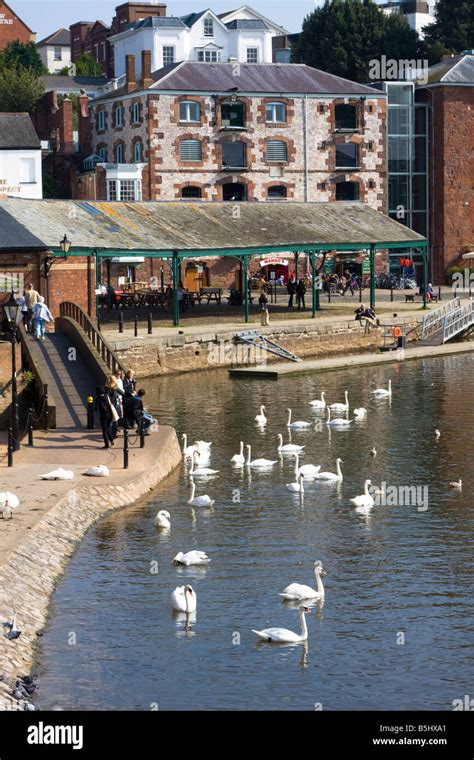 Quayside Exeter Devon UK Stock Photo - Alamy