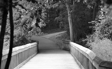 preserve history remarkably relevant