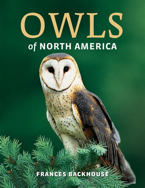 Owls Of North America NHBS Field Guides Natural History