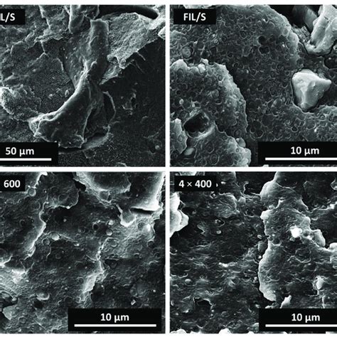 SEM Micrographs Of Cryo Fractured Surfaces Of 4 400 And 1 BPO 2 2