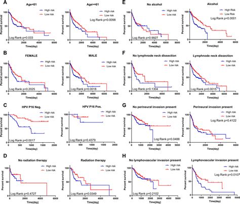 POR Identification Of A Novel EpithelialMesenchymal Transition Gene