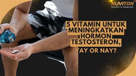 5 Vitamin Untuk Meningkatkan Hormon Testosteron Yay Or Nay