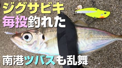 【南港魚つり園】ジグサビキでイージーアジ釣り＋ツバス乱舞目撃（大阪湾ショアジギ） Youtube