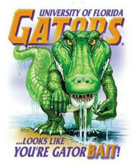 Gator Bait Fla Gators Florida Gators Football Gator Football College