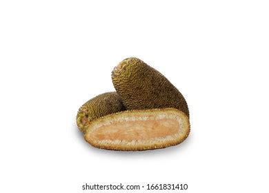 Baby Jackfruit Cut Half On White Stock Photo 1661831410 | Shutterstock