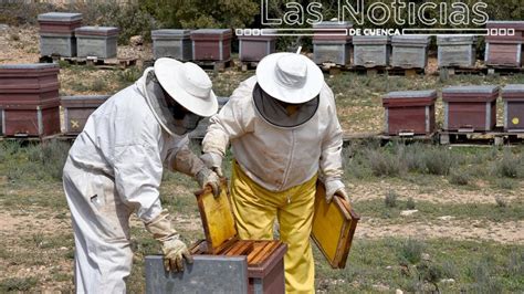 Apicultores Y Desarrollo Sostenible Abordan Soluciones Para Atajar Los