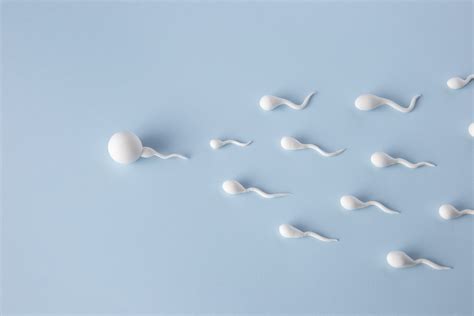 cara memperbaiki kualitas sperma agar cepat hamil 8