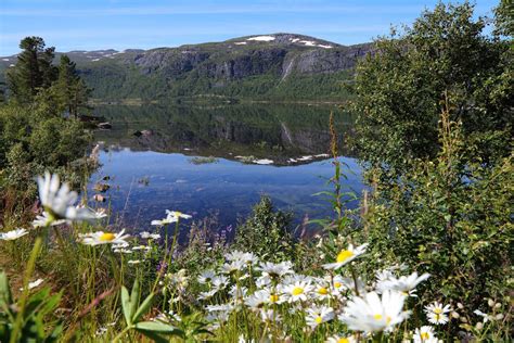 Individuelle Norwegen Rundreisen S Dnorwegen