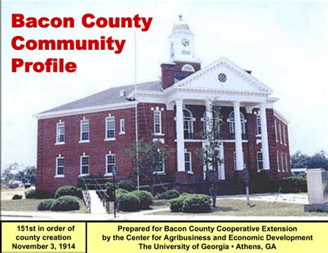 Bacon County Community Profile